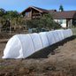 Invernadero de 3 metros (0,8 m x 1,2 m x 3 m)