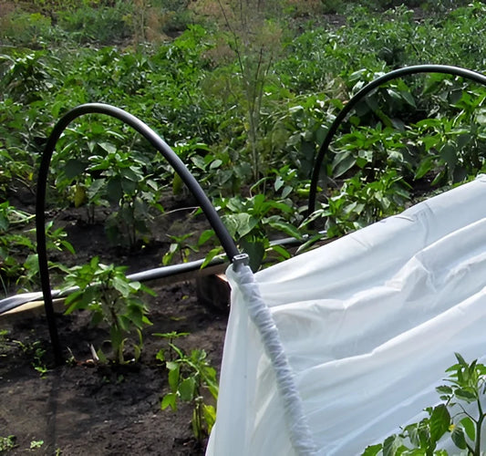Invernadero de 3 metros (0,8 m x 1,2 m x 3 m)