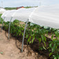 Invernadero de 6 metros (0,8 m x 1,2 m x 6 m)