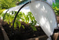 Invernadero de 3 metros (0,8 m x 1,2 m x 3 m)